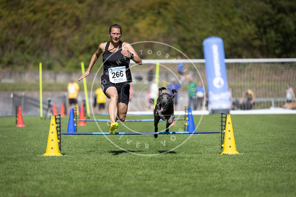 Pfotenfotografie_DV3A6688 | Hundefotografie, Tierfotograf, Pfotenfotografie, Fotoshooting Hund, Hunde Portrait, Hundesport, Hundeportraits, Heideshooting, Hunde, Sportfotograf, Hundefotograf, Turnierhundsport, THS,  - Realisiert mit Pictrs.com