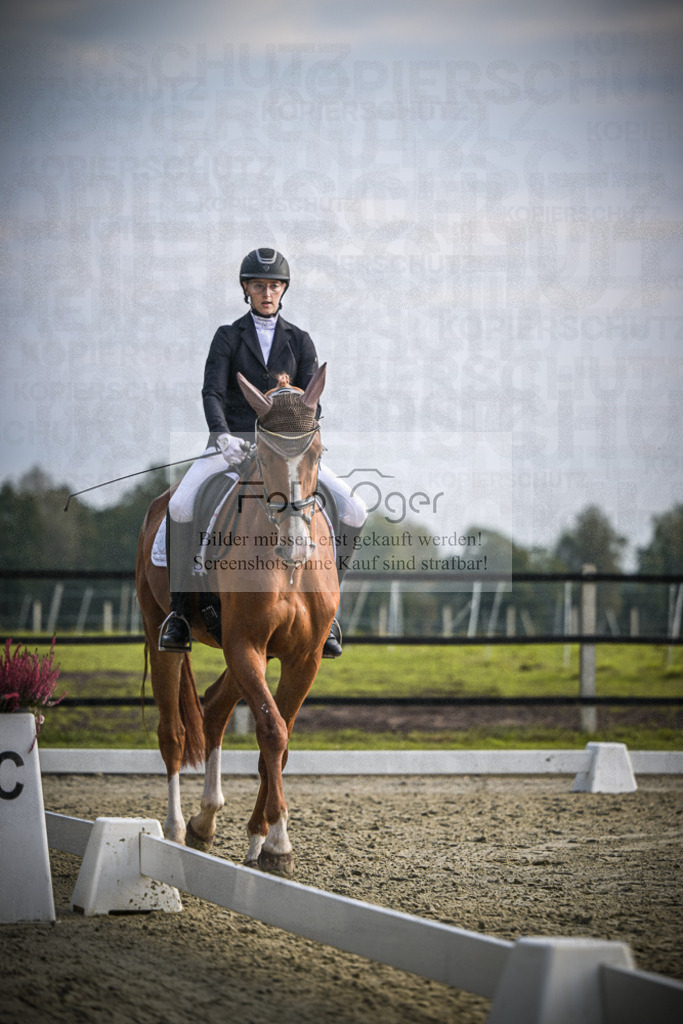 DOS_B061 | Entdecke hochwertige Reitturnierfotos von Foto Oger. Professionell, emotional und authentisch – jetzt Lieblingsmomente im Shop bestellen.Deutschlandweite Turnierfotografie. - Realisiert mit Pictrs.com