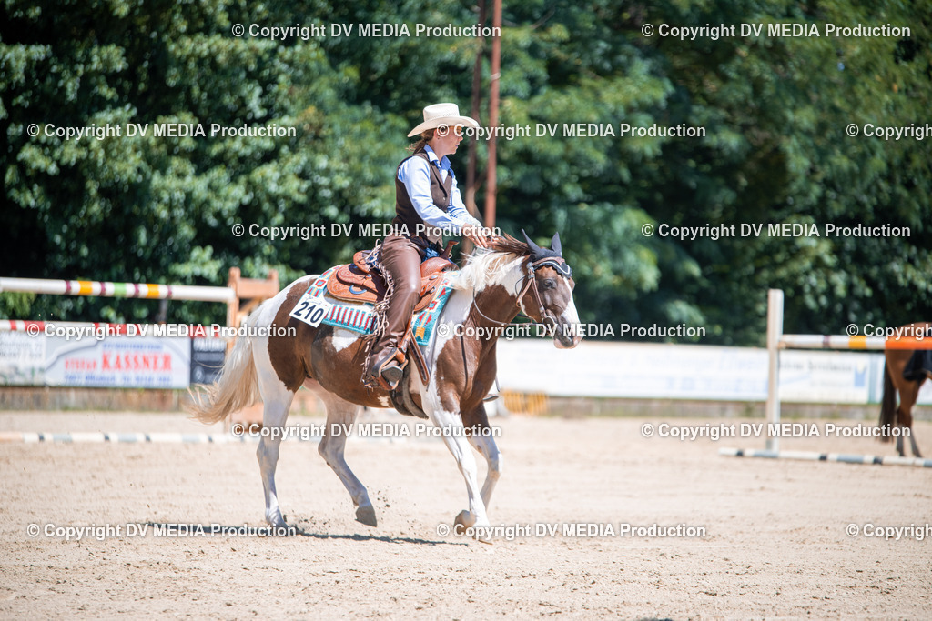 ZS1_1120 | dv-media-shop - Realisiert mit Pictrs.com