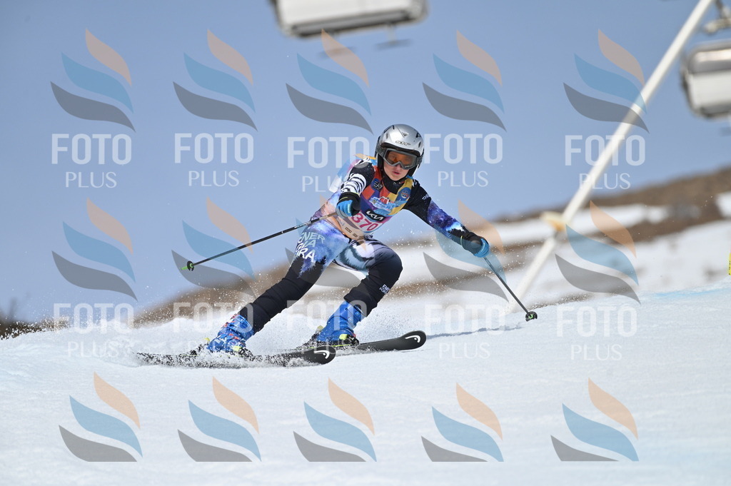 BGV_4031 | holidayphoto