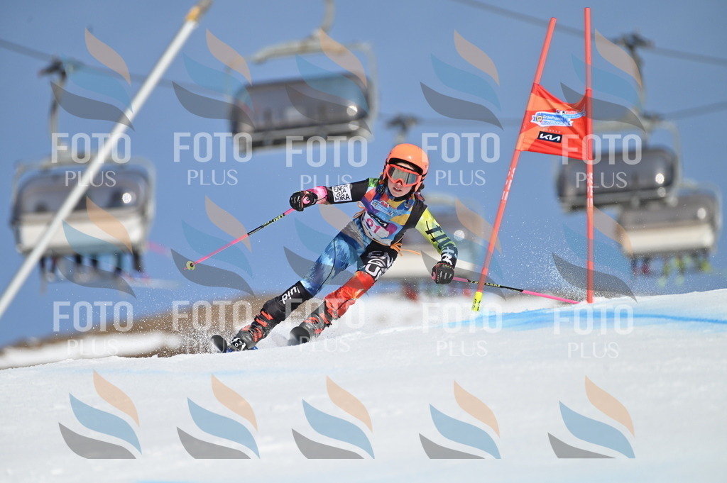 BGV_8732 | holidayphoto