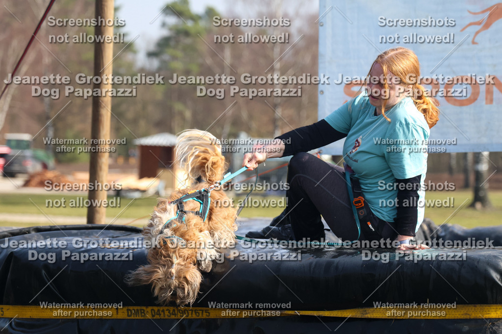 Dog Paparazzi - Strongdog North Mrz26-1568 | Dog Paparazzi Jeanette Grottendiek Fotografie & Videografie - Realisiert mit Pictrs.com