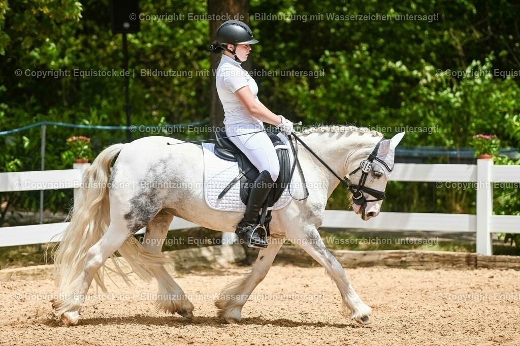 20230715_05_Dressurprüfung Kl.A++_0259 | equistock