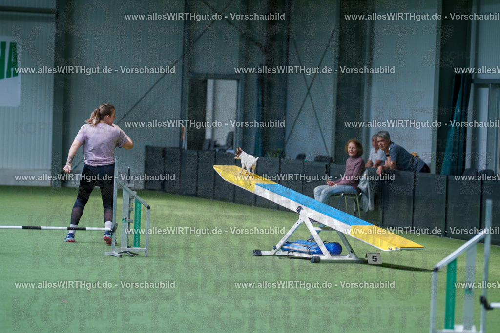 @allesWIRTHgut_Tierfotografie - www.allesWIRTHgut.de - 2604261445-7R503620 | Professionelle Tierfotografie in Mönchengladbach von Daniel Wirth (allesWIRTHgut). Liebevolle & natürliche Bilder von Hunden & Katzen für unvergessliche Erinnerungen.