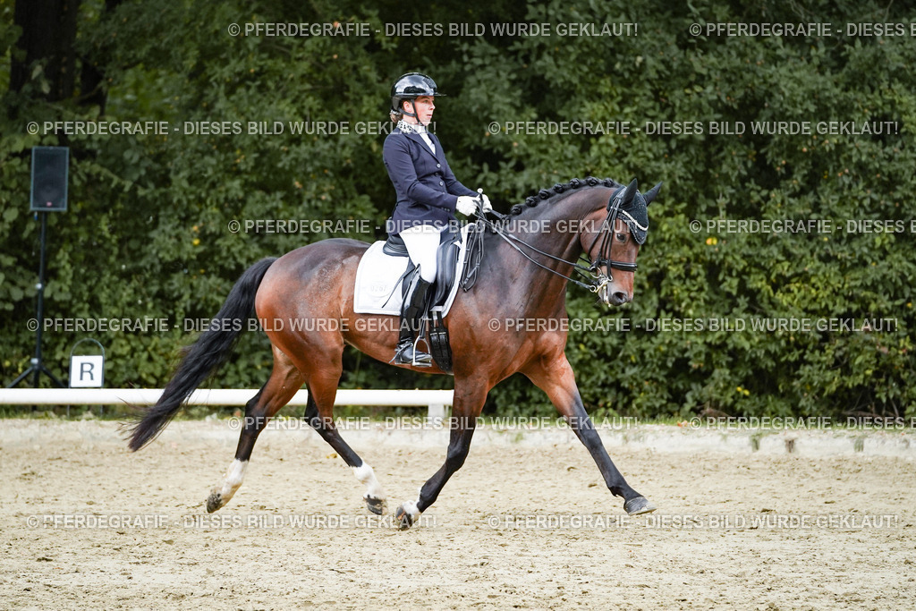 DSC06455 | Pferdegrafie