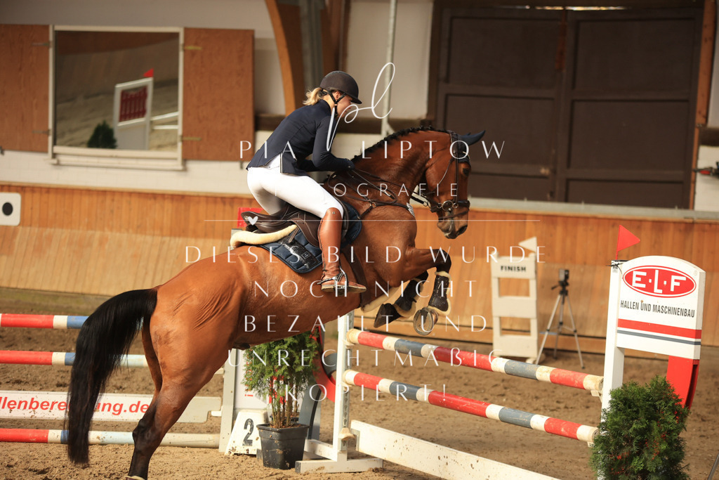 IMGT6002 | pl-fotografie