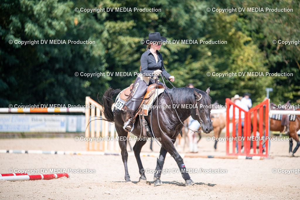 ZS1_1670 | dv-media-shop - Realisiert mit Pictrs.com