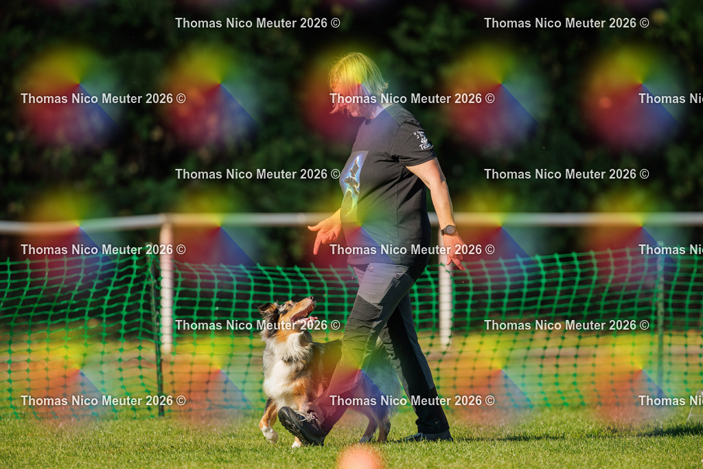 Thomas_Nico_Meuter(C)_04. Oktober 2026_223A3903 | Bild von Thomas Nico Meuter - Realisiert mit Pictrs.com