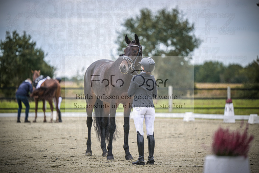 DOS_1192 | Entdecke hochwertige Reitturnierfotos von Foto Oger. Professionell, emotional und authentisch – jetzt Lieblingsmomente im Shop bestellen.Deutschlandweite Turnierfotografie. - Realisiert mit Pictrs.com