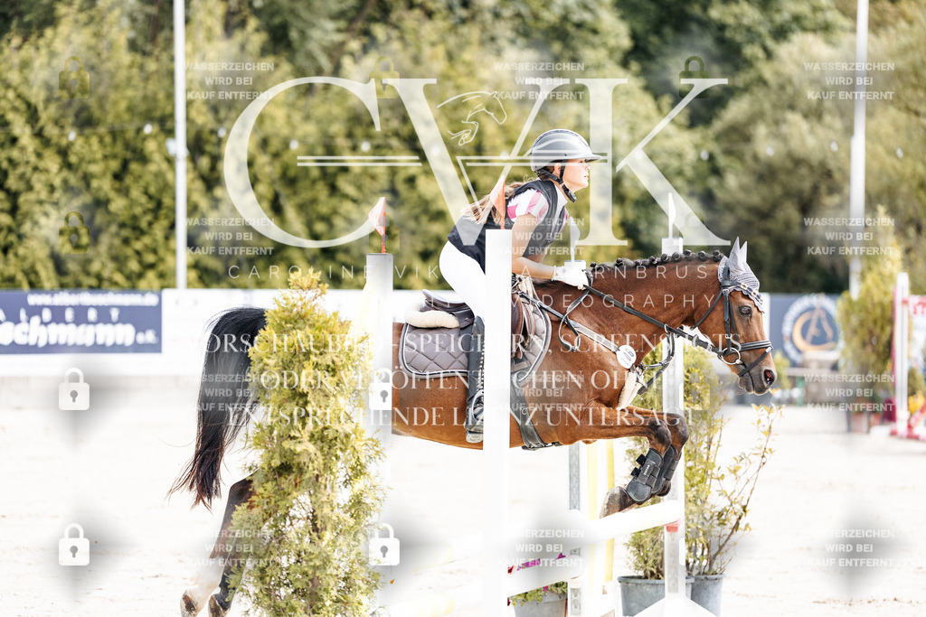 CK906417 | Turnierfotografie Pferdefotografie Trier Rheinland-Pfalz Pferdesport Reitsport Tierfotografie Sportfotografie Pferdevideo Pferdevideografie Equestrianvideography equestrianphotography  - Realisiert mit Pictrs.com