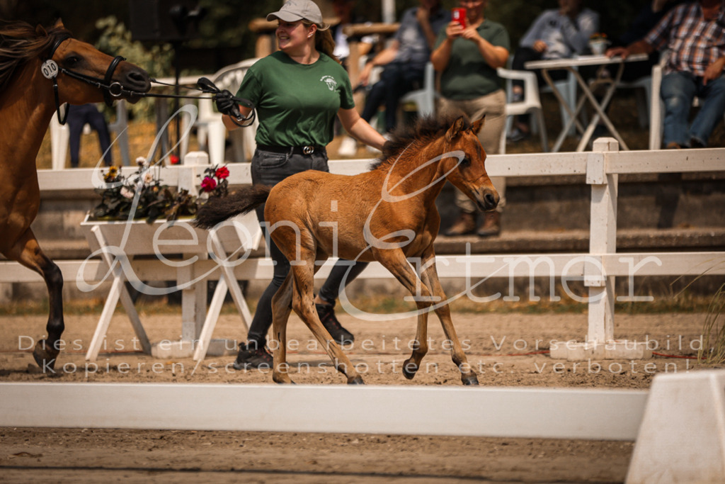 02.DoSR00096 | Leoni Ertmer Photography - Realisiert mit Pictrs.com