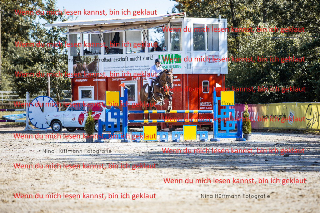 BK1A5841 | Turnierbilder Turnierfotos Nina Hüffmann Turnierfotografie Pferdefotografie Tierzeichnung Haustierzeichnung Pferdezeichnung Hundezeichnung Videograf  - Realisiert mit Pictrs.com