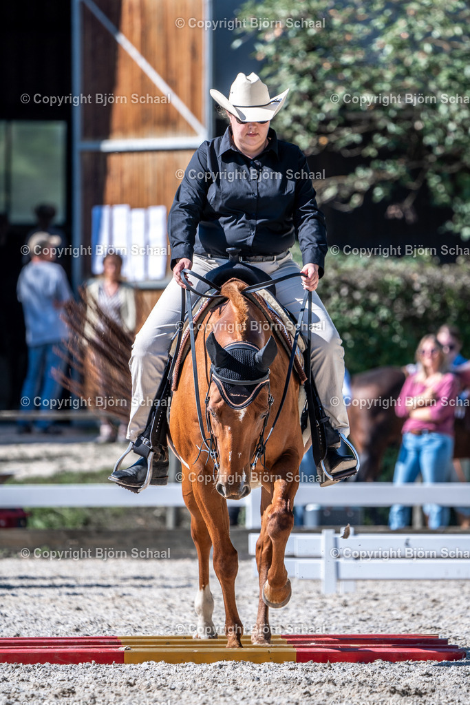 HOB08617 | BS-foto
