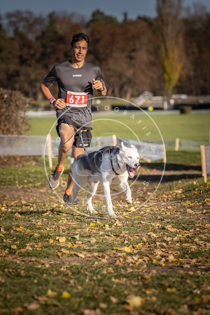 CaniXpix_DV3A0861 | Hundefotografie, Tierfotograf, Pfotenfotografie, Fotoshooting Hund, Hunde Portrait, Hundesport, Hundeportraits, Heideshooting, Hunde, Sportfotograf, Hundefotograf, Turnierhundsport, THS,  - Realisiert mit Pictrs.com