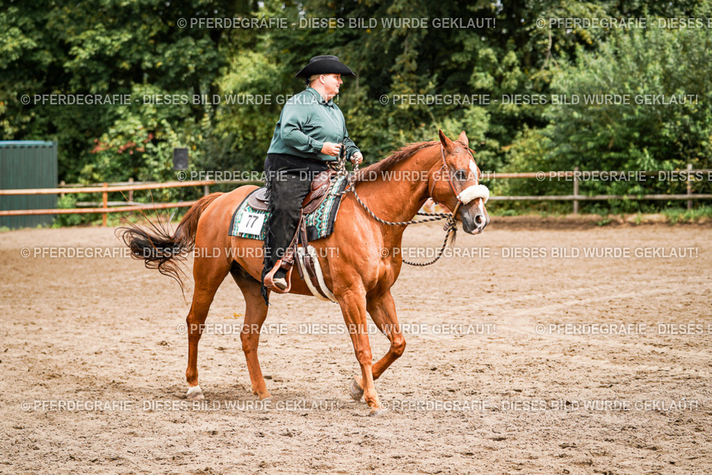 DSC04725 | Pferdegrafie