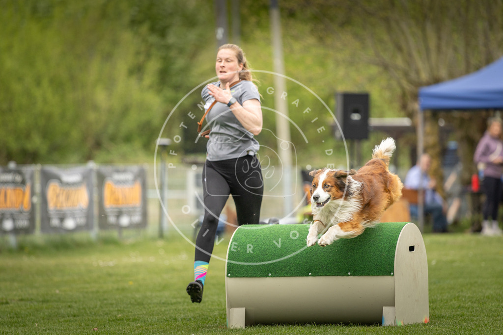 Pfotenfotografie_DV3A1039 | Hundefotografie, Tierfotograf, Pfotenfotografie, Fotoshooting Hund, Hunde Portrait, Hundesport, Hundeportraits, Heideshooting, Hunde, Sportfotograf, Hundefotograf, Turnierhundsport, THS,  - Realisiert mit Pictrs.com