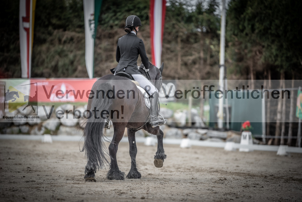 DSC_3161 | equestrian-live-com