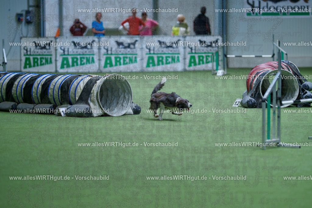 @allesWIRTHgut_Tierfotografie - www.allesWIRTHgut.de - 2604251109-7R501277 | Professionelle Tierfotografie in Mönchengladbach von Daniel Wirth (allesWIRTHgut). Liebevolle & natürliche Bilder von Hunden & Katzen für unvergessliche Erinnerungen.