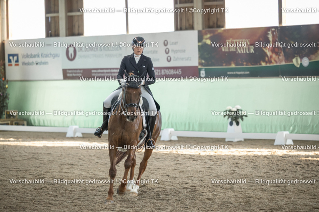 _D5A0597 | Emotionale Pferde- & People-Fotografie rund um Heidelberg, Leimen & Umgebung. Natürliche Fotos von Pferd, Mensch & Familie. Jetzt Termin sichern!