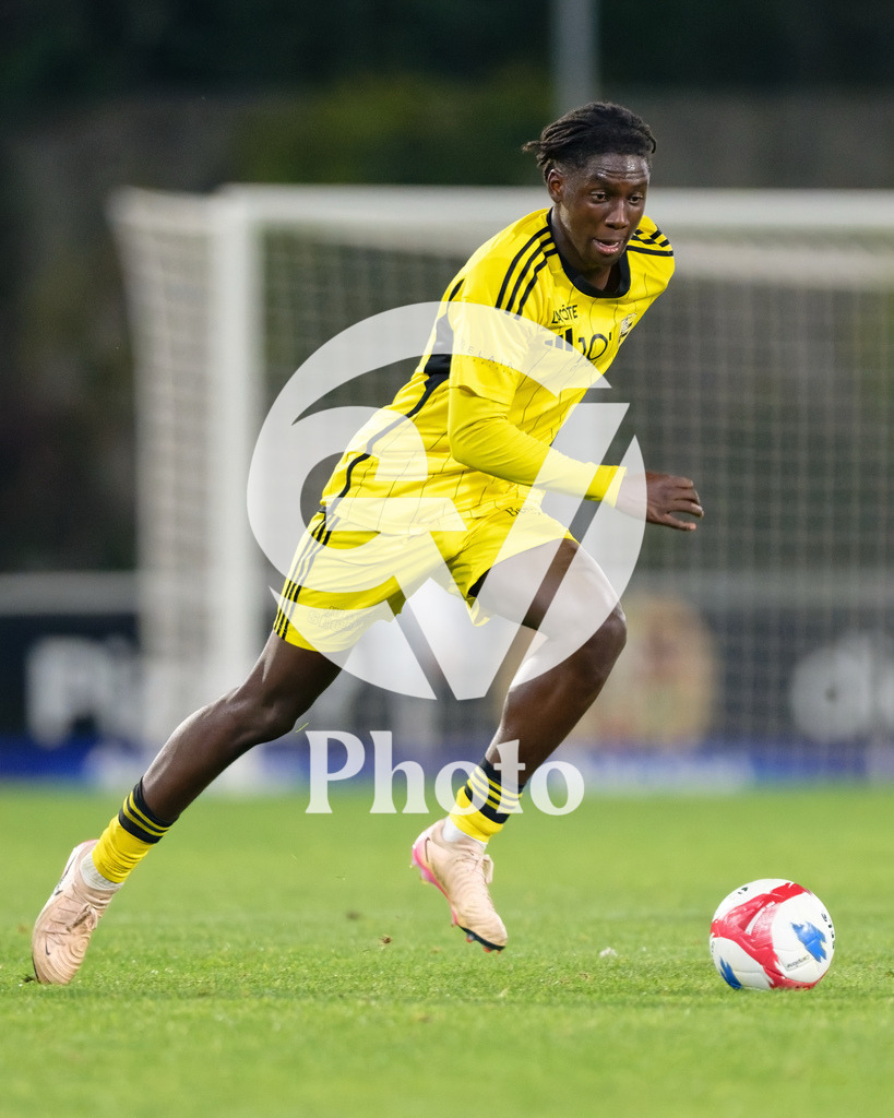 dieci Challenge League - FC Stade Nyonnais v FC Wil 1900 |  during the dieci Challenge League match between FC Stade Nyonnais and FC Wil 1900 at Centre sportif de Colovray in Nyon, Switzerland