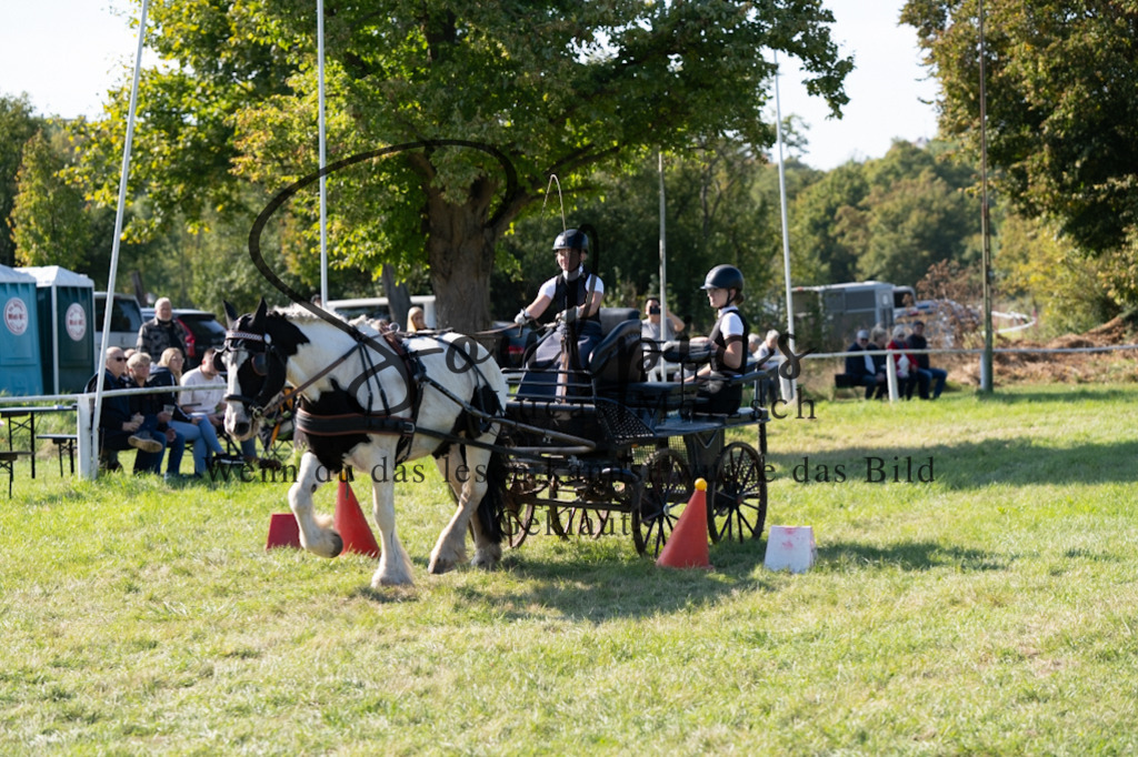 A7V04378 | Pferdefotograf