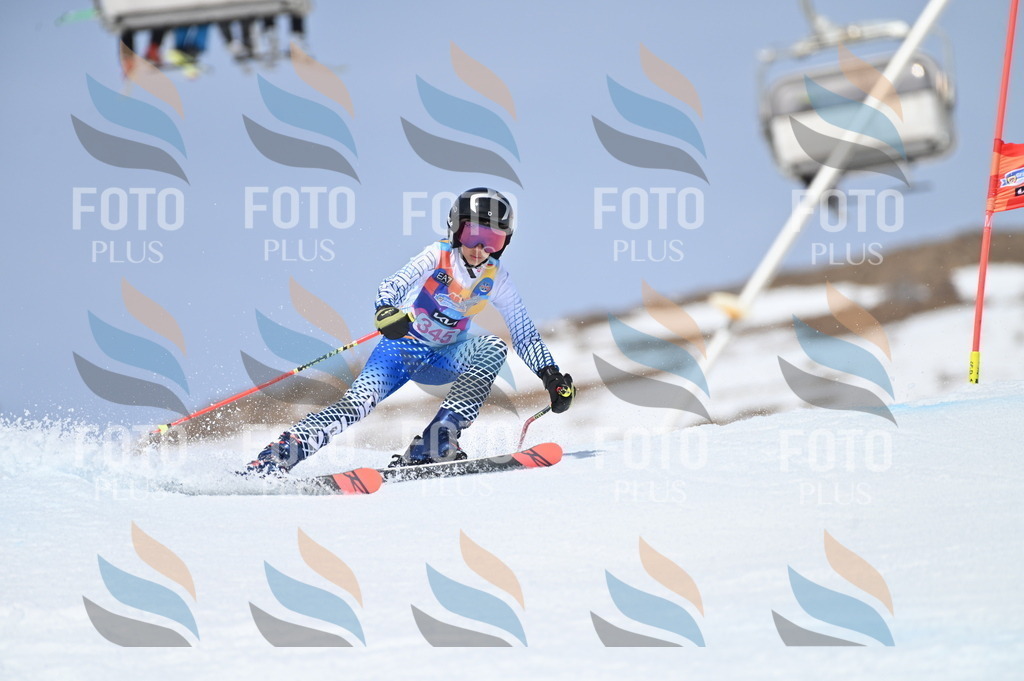 BGV_3537 | holidayphoto