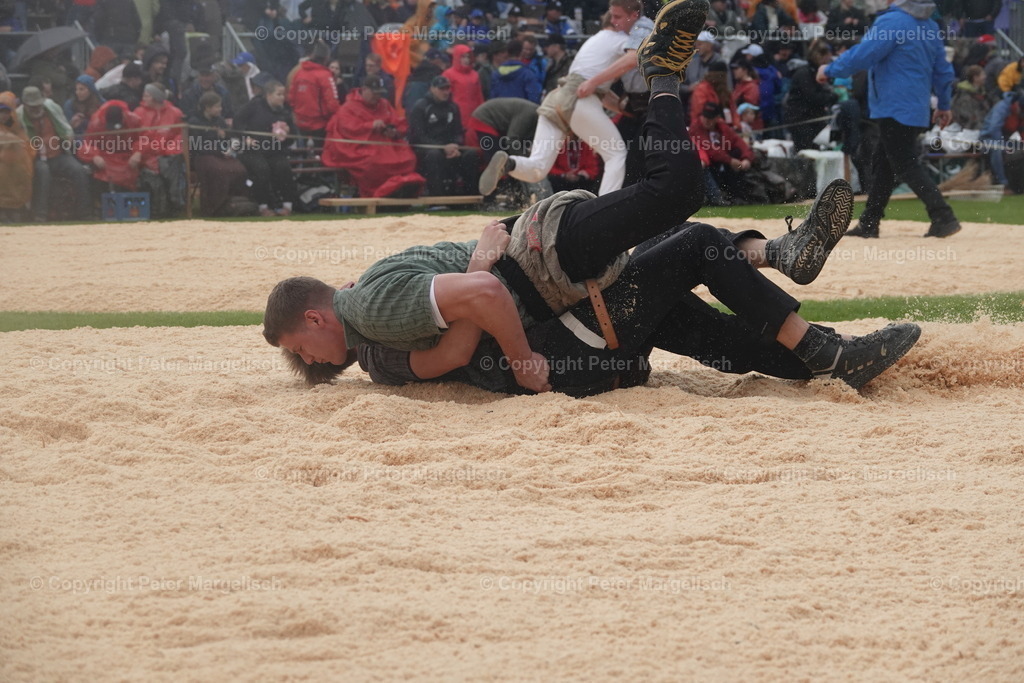 DSC03914 | Schwingen - Realisiert mit Pictrs.com