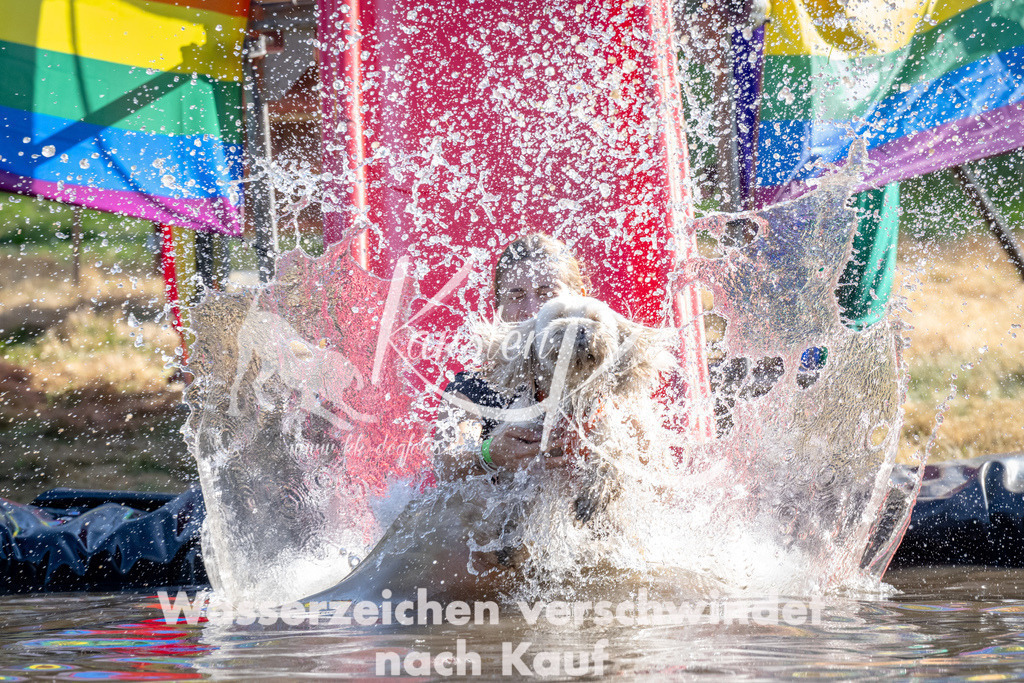 1637_ZZ90331 | kk-dogfotos