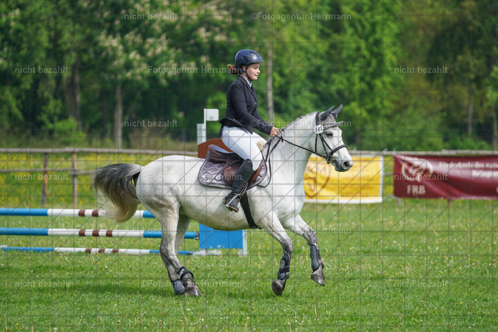 20240509-FAH02135 | Turnierbilder der Turnierfotografen Bayern, Pferdesport Fotografie, Reitsportbilder, Turnier Landberg am Lech, Turnierbilder bayern, Fotoagentur Herrmann