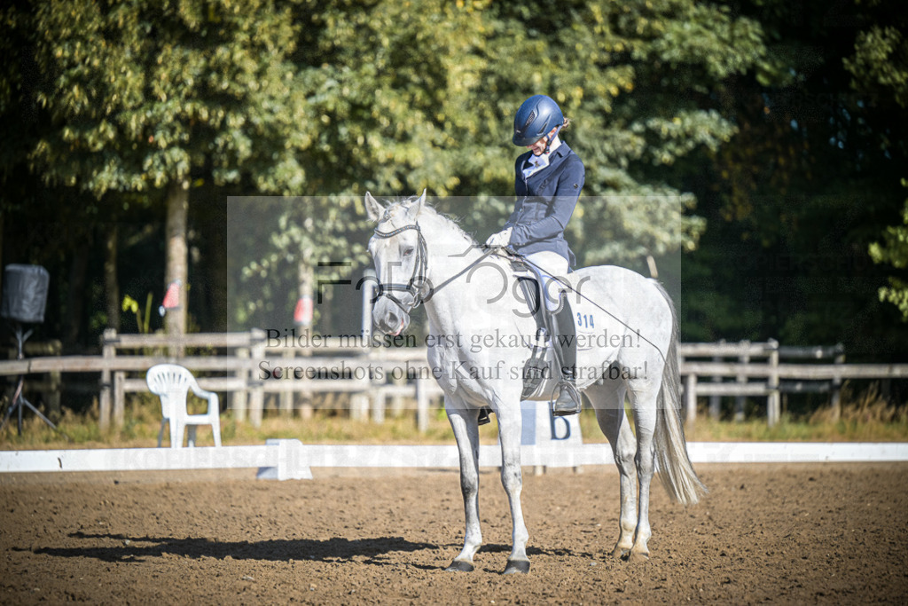 DOS_0902 | Entdecke hochwertige Reitturnierfotos von Foto Oger. Professionell, emotional und authentisch – jetzt Lieblingsmomente im Shop bestellen.Deutschlandweite Turnierfotografie. - Realisiert mit Pictrs.com