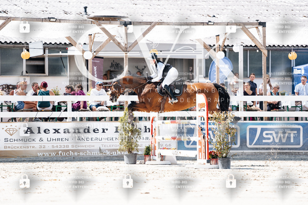 CK909625 | Turnierfotografie Pferdefotografie Trier Rheinland-Pfalz Pferdesport Reitsport Tierfotografie Sportfotografie Pferdevideo Pferdevideografie Equestrianvideography equestrianphotography  - Realisiert mit Pictrs.com