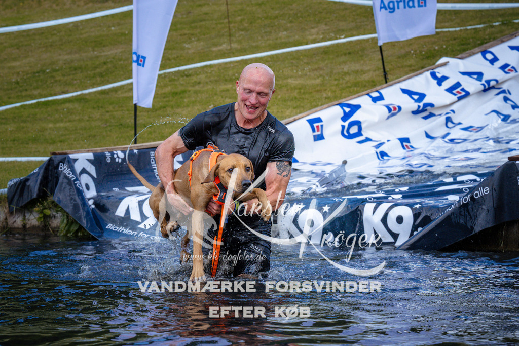 _ZZ947671002 | kk-dogfotos