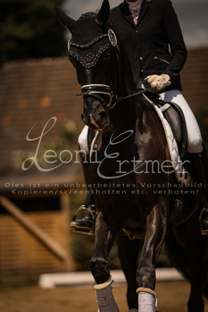 08.FrDrPL00230 | Leoni Ertmer Photography - Realisiert mit Pictrs.com