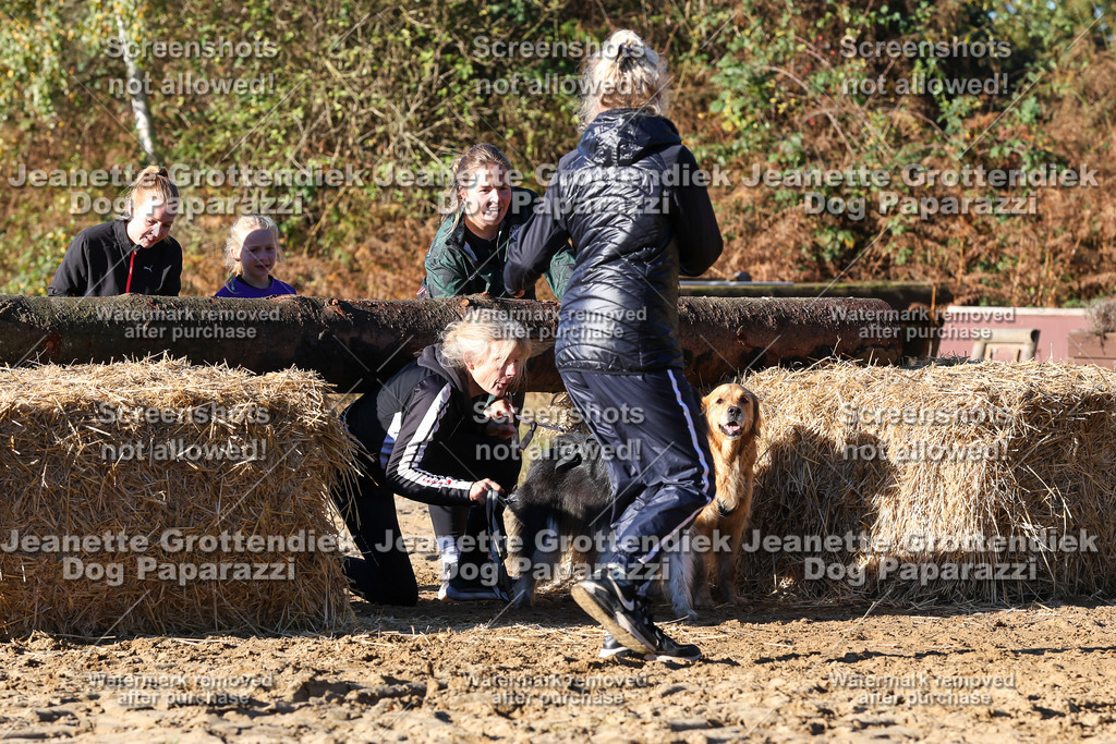 Dog Paparazzi - Strongdog 10-25-1540 | Dog Paparazzi Jeanette Grottendiek Fotografie & Videografie - Realisiert mit Pictrs.com