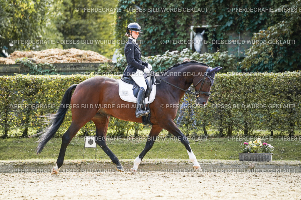 DSC08923 | Pferdegrafie