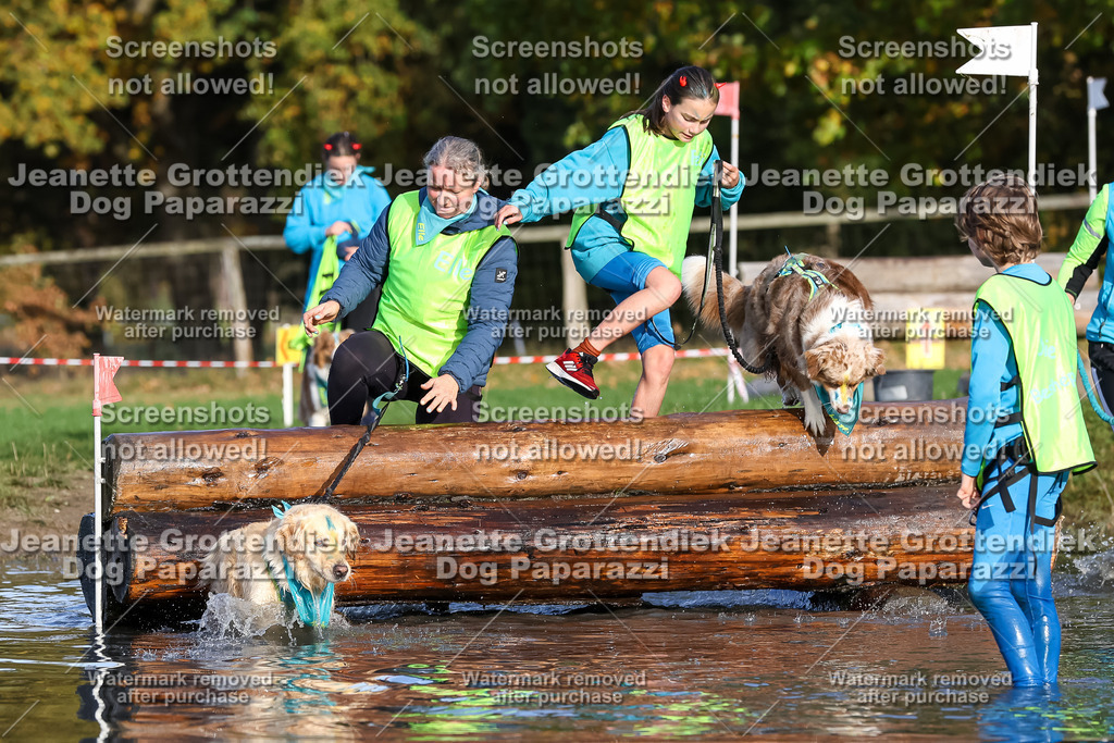 Dog Paparazzi - Strongdog 10-25-8466 | Dog Paparazzi Jeanette Grottendiek Fotografie & Videografie - Realisiert mit Pictrs.com