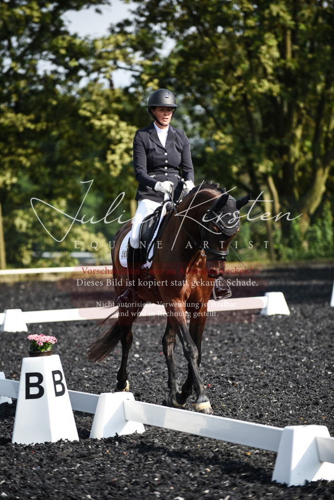 DSC_3112 | Pferde- und Turnierfotografie in Westsachsen. Pferdeportraits, Auftragszeichnungen und intuitive Kunst.