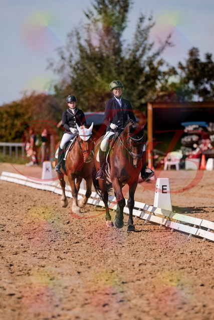 2026_10_03_Siefer-Hof_130036_Z81_51417282 | Professionelle Reitsport-, Turnier- und Eventfotografie von Robert Broda. Galerien mit ausgewählten und bearbeiteten Bildern direkt online ansehen und bestellen.