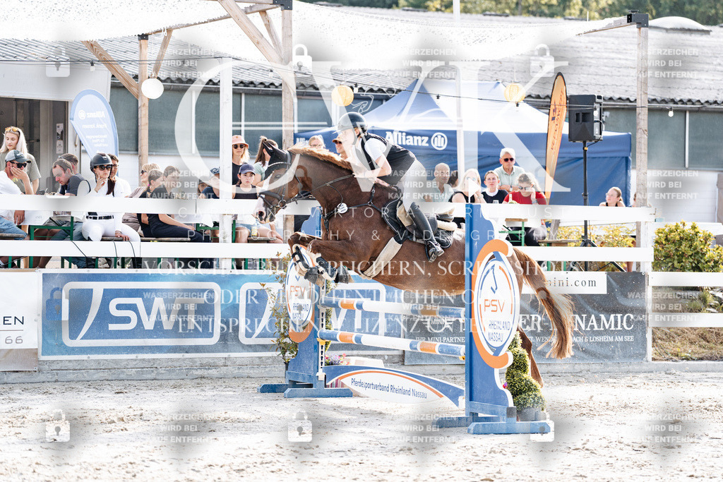 CK906028 | Turnierfotografie Pferdefotografie Trier Rheinland-Pfalz Pferdesport Reitsport Tierfotografie Sportfotografie Pferdevideo Pferdevideografie Equestrianvideography equestrianphotography  - Realisiert mit Pictrs.com