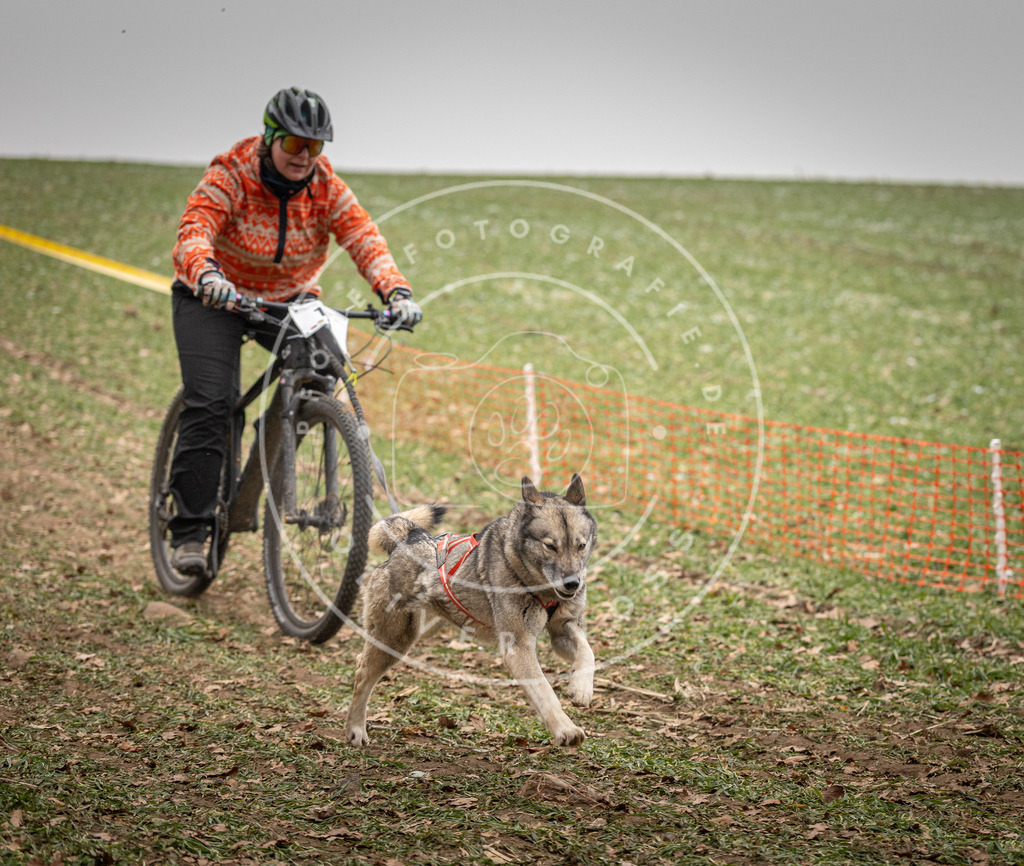 Pfotenfotografie_DV3A3224 | Hundefotografie, Tierfotograf, Pfotenfotografie, Fotoshooting Hund, Hunde Portrait, Hundesport, Hundeportraits, Heideshooting, Hunde, Sportfotograf, Hundefotograf, Turnierhundsport, THS,  - Realisiert mit Pictrs.com