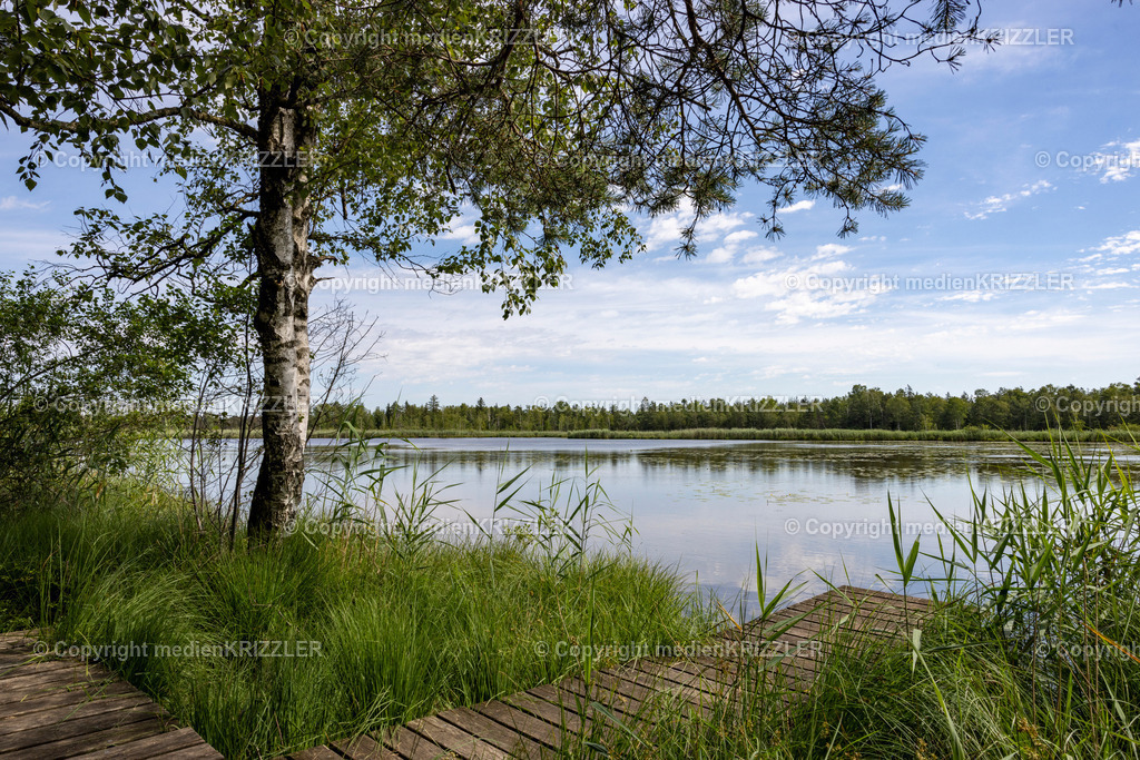 _J3A5407 | medienkrizzler - Realisiert mit Pictrs.com