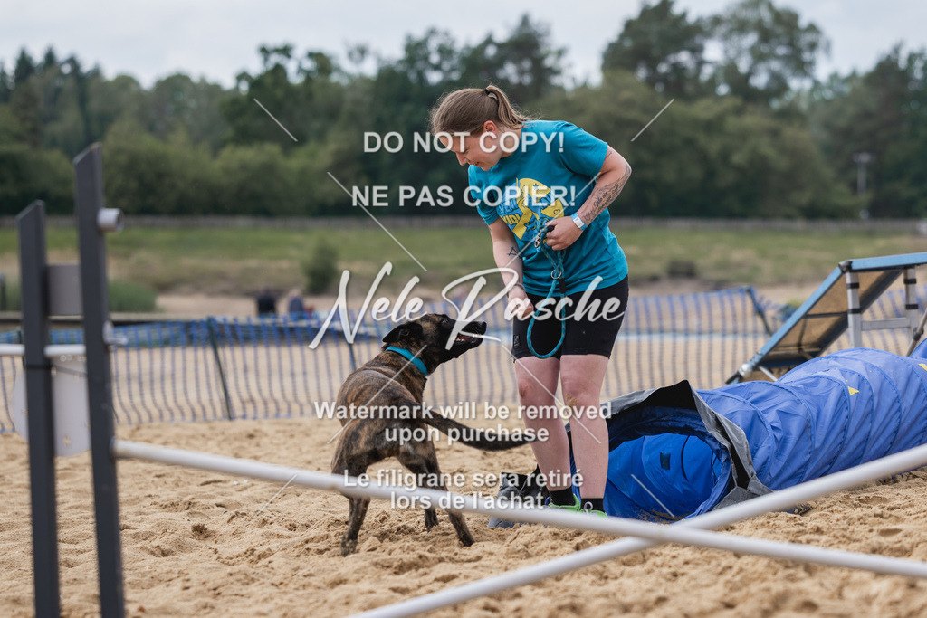 nelerasche_BuHu2026_So1530-Ende_97 | nelerasche