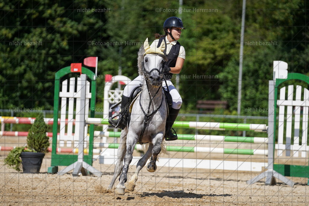 20240824-FAH08276 | Thierhaupten 2024, Bayerisches Landesponyturnier, Turnierbilder, Ponybilder, Turnierfotografen Bayern, Fotoagentur Herrmann