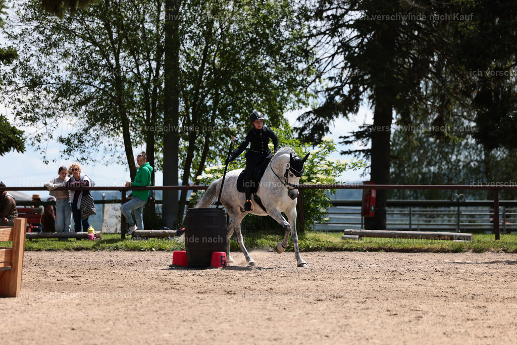 KlasseA_Stoibphotography_C2_L5515.JPG | working equitationturnier fotograf videograf stoibphotography marixx film working equitation deutschland reitsport turnierfotografie eventfotografie equestrian events