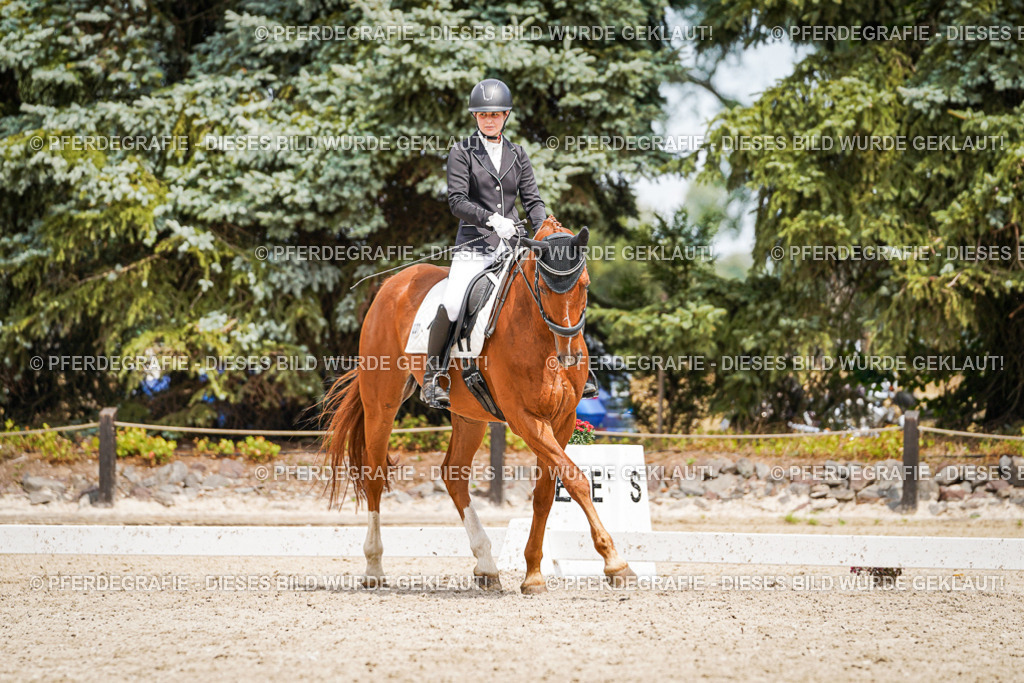 DSC03908 | Pferdegrafie