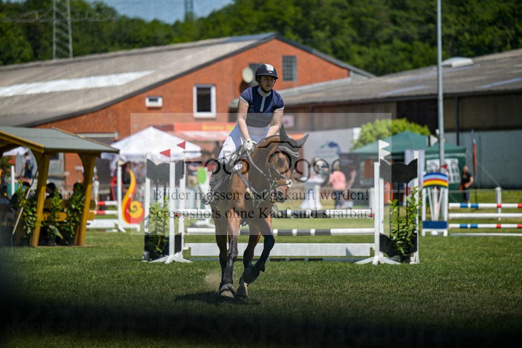 Reitturnier Voxtrup | Entdecke hochwertige Reitturnierfotos von Foto Oger. Professionell, emotional und authentisch – jetzt Lieblingsmomente im Shop bestellen. - Realisiert mit Pictrs.com
