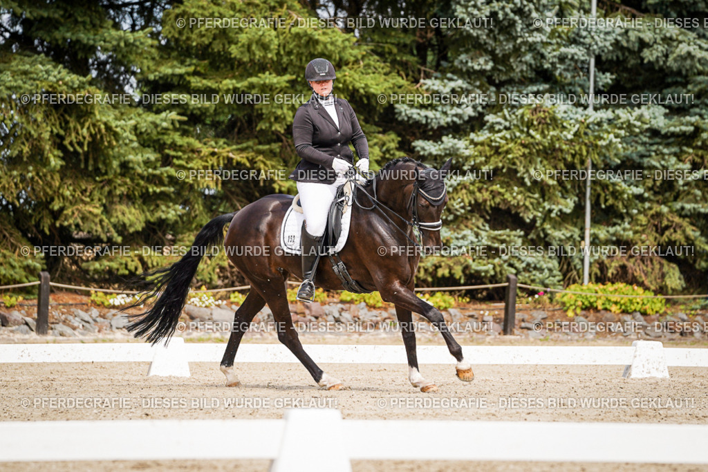 DSC05594 | Pferdegrafie