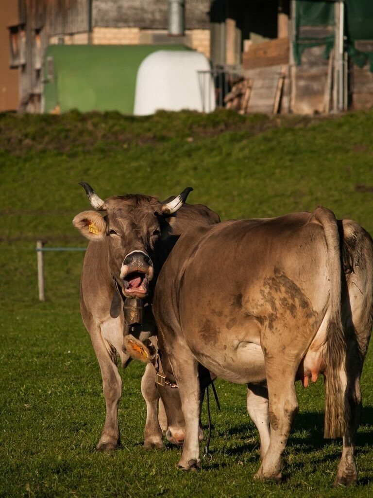 PSX_20221110_224119 | mtkfoto_ - Realisiert mit Pictrs.com