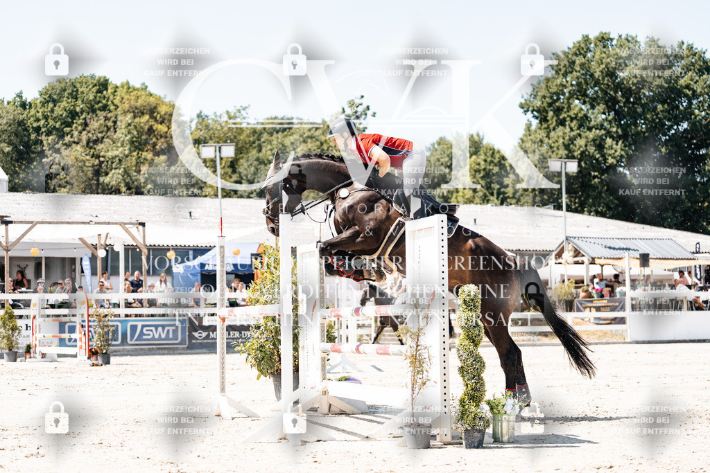CK909725 | Turnierfotografie Pferdefotografie Trier Rheinland-Pfalz Pferdesport Reitsport Tierfotografie Sportfotografie Pferdevideo Pferdevideografie Equestrianvideography equestrianphotography  - Realisiert mit Pictrs.com