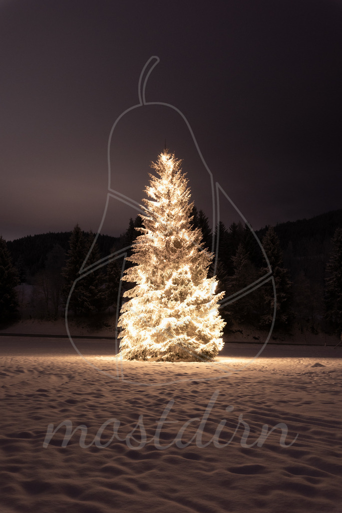 Winterwonderland Christbaum Thomatal | Ihre Fotografin im Lungau, ihre Fotografin im Mostviertel, Wandbilder Onlineshop, Imagefotos für Ihr Unternehmen,  - Realisiert mit Pictrs.com